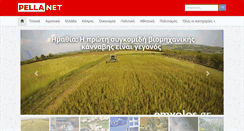 Desktop Screenshot of pellanet.gr